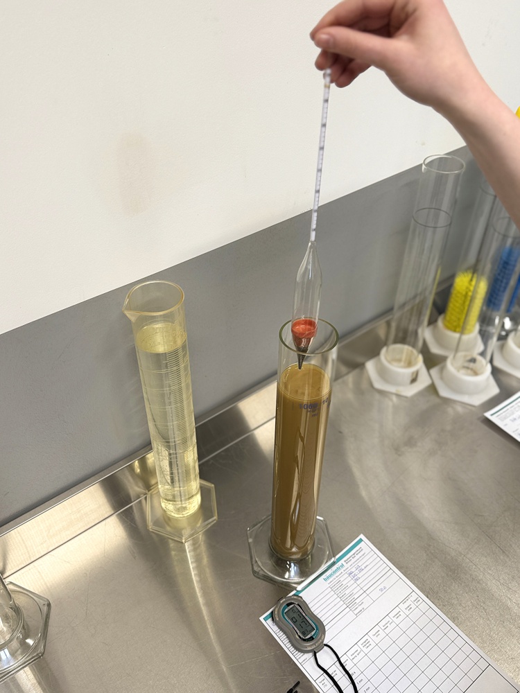 Sedimentation / Schlämmanalyse